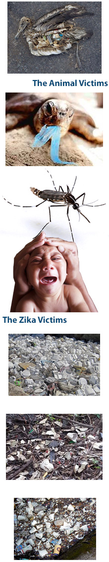 Polystyrene ban in Malaysia